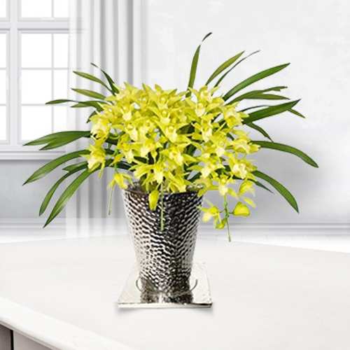 - Elegant Cymbidium Arrangements