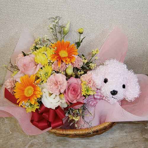 Poodle Flower Arrangement | Best Flower Site