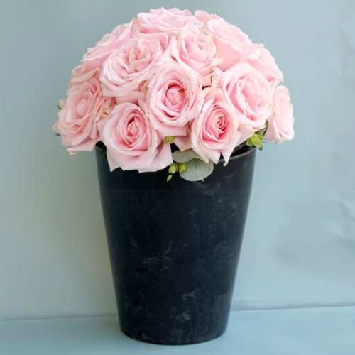 Pink Rose In A Pot-Anniversary Flower Arrangements Ideas