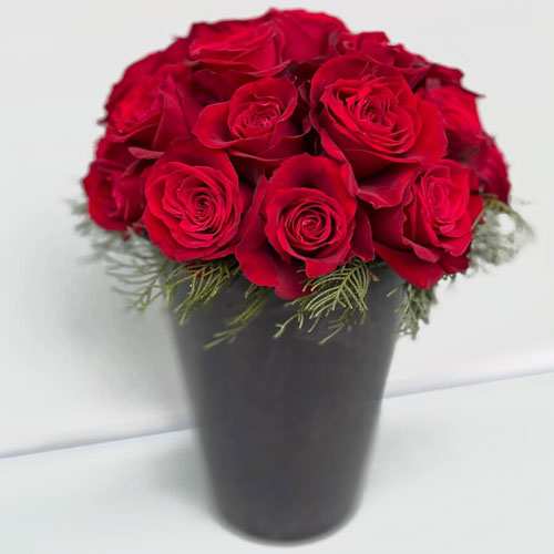 Red Rose In A Pot-Rose Arrangement For Wedding