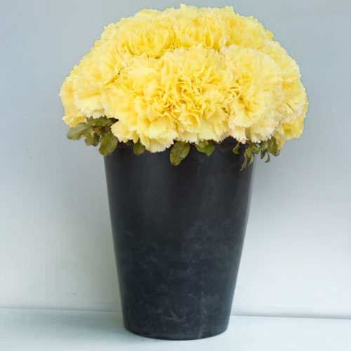 - Flower Arrangements Corporate Gift