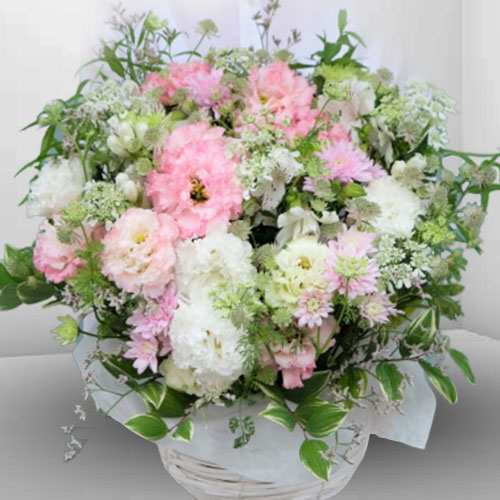 White N Pink Simpathy Arrangement-Best Way To Send Sympathy Flowers