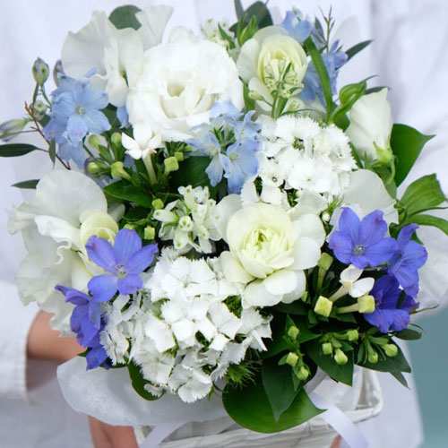 - Best Flowers To Send In Sympathy