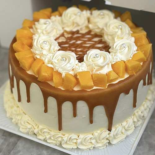 Mango Cheese Cake-Send Birthday Cake To Someone