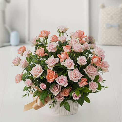 Lovely Arrangement Of 50 Pink Rose