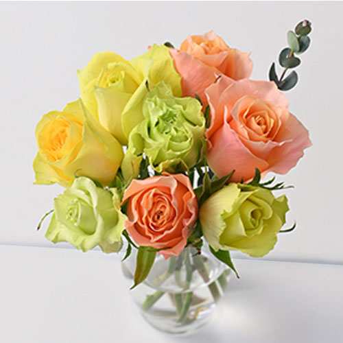 - Best Color Roses For Birthday