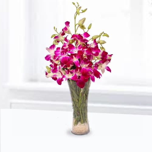 Blossoming Orchids In A Vase - Purple Orchid Delivery Japan
