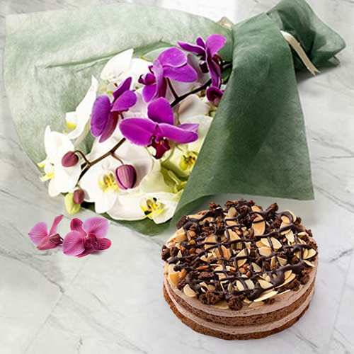 Phalaenopsis Bouquet With Cake