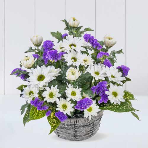 Eternal Light Arrangement-Flower Basket Send For Funeral