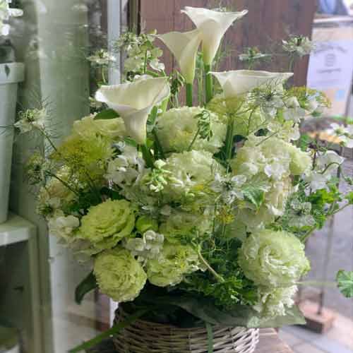 Sympathy Lily Arrangements Online