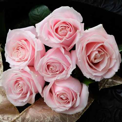 6 Pink Rose Bouquet - Anniversary Flowers For Her Send