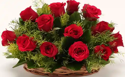 Red Roses