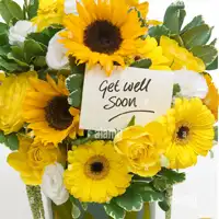 Get Well Gifts